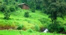 Farmhouse Plots Near Khadakwasla, Panshet and Vara...
