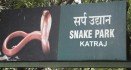 Katraj Snake Park - Paradise For Children and Rept...
