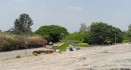 Lal Bagh Botanical Garden - Bengaluru's Pride