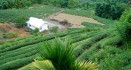 Popular Tourist Places in Guwahati
