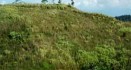 Land Acquisition Bill Cleared; Vertical Growth in ...