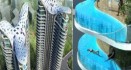Aquaria Grande – Residential Tower with Swimming...