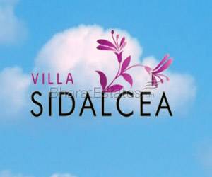 Applewoods Township - Sidalcea 