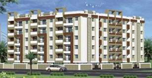 Hot Project - BM Green Woods