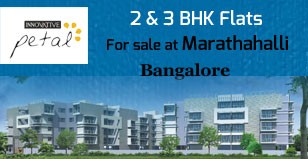 Hot Project - Innovative Petals