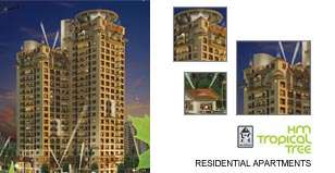 Hot Project - HM Tropical Tree