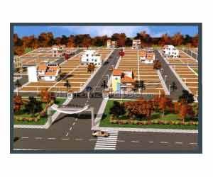 Shasta's Manyave Meadows