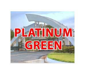 Platinum Green