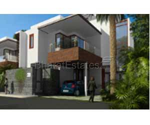 N D Around the Mangoes