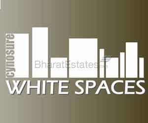 White Spaces