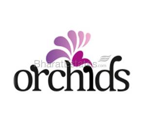 Orchids