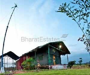 Divine Euphoria Agricultural Land