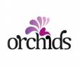 Orchids Thannisandra Road Bangalore