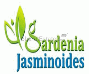 3 bhk Apartment/Flat for rent in Horamavu