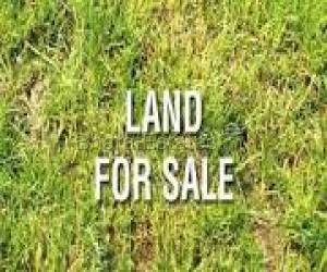 BMRDA  APPROVED PLOTS@HOSKOTE@RS.1499/SFT,CHINTAMANI RD,NEWLY LAUNCHED