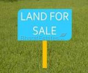 NEW LAUNCH-BMRDA APPROVED PLOTS@RS.1499/SFT @HOSKOTE,CHINTAMANI RD