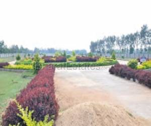 Plot/Land for sale in Sarjapur