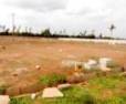 Plot/Land for sale in Chikkaballapura