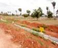 Plot/Land for sale in Chikkaballapura