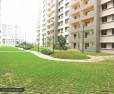 Sobha Dream Series - apartment for sale in sarjapur road