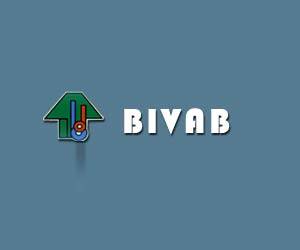 Bivab Developers