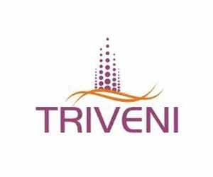 Triveni Builders