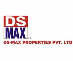 DS Max Properties