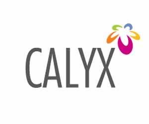 CALYX Constructions Pvt. Ltd