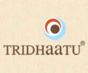 TRIDHAATU REALTY & INFRA PVT. LTD