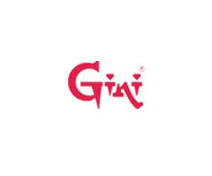 Gini Construction