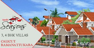 Hot Project - Apollo Seasons