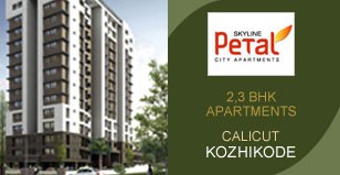 Hot Project - Skyline Petal