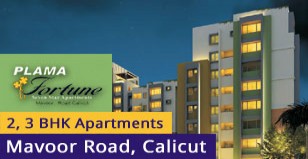 Hot Project - Plama Fortune