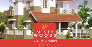 Hot Project - Misty Woods