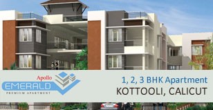 Hot Project - Apollo Emrald