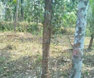 HOUSE and PLOT (64 cent) for sale in PERAMBRA