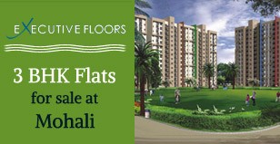 Hot Project - Executive floors