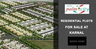 Hot Project - Soni Palm City