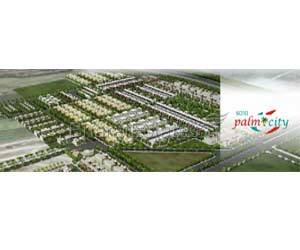 Soni Palm City