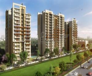 Showroom in Zirakpur at prime Locations.