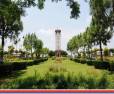 Emaar MGF: 280 Sqyds Plot in Sector 108 Mohali.