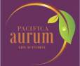 Pacifica Aurum Padur Chennai