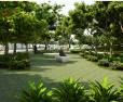 Temple Green: Image 4