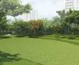 Temple Green: Image 5