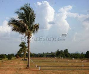 1200 sq.ft just at Rs. 1.60 Lakhs - Residential plot for sale