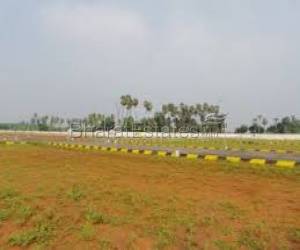 Plot/Land for sale in Kanchipuram