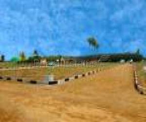 Pensula  housing nagar  (kaduvancherry)sriperumbudur