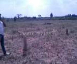 many companies near Land for sale in Sriperumbadur