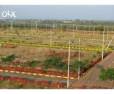 Plot/Land for sale in Poonamallee