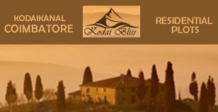 Hot Project - Kodai Bliss